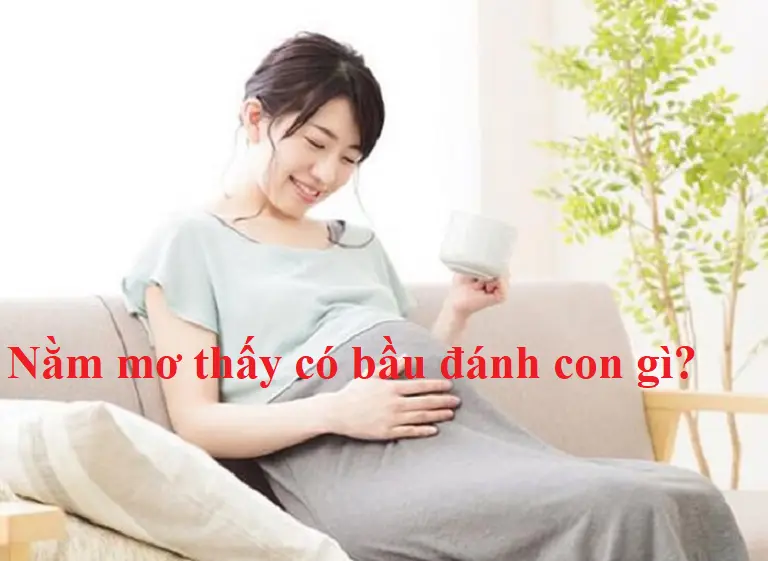 Nằm mơ thấy có bầu - Một giấc mơ mang theo điều bất ngờ, khám phá ngay 8 Nằm mơ thấy có bầu liên quan đến những con số nào?