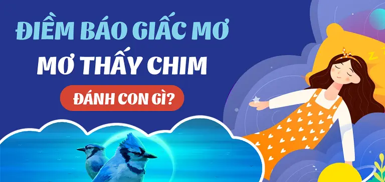 Nằm mơ thấy chim và những con số may mắn
